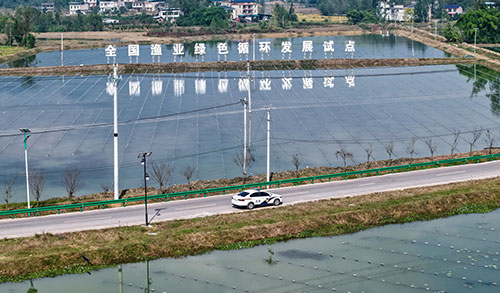 图片1.jpg 图片1.jpg