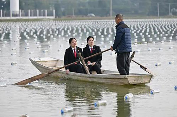 640(1).jpg 640(1).jpg