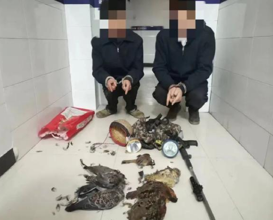 微信截图_20230131152813.png