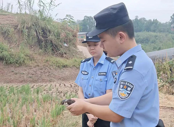 微信图片_20241017170858.jpg